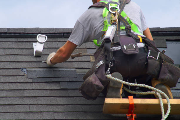 Roof Moss and Algae Removal